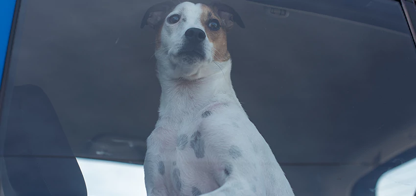 Car Lockout Solutions in Lancaster, California